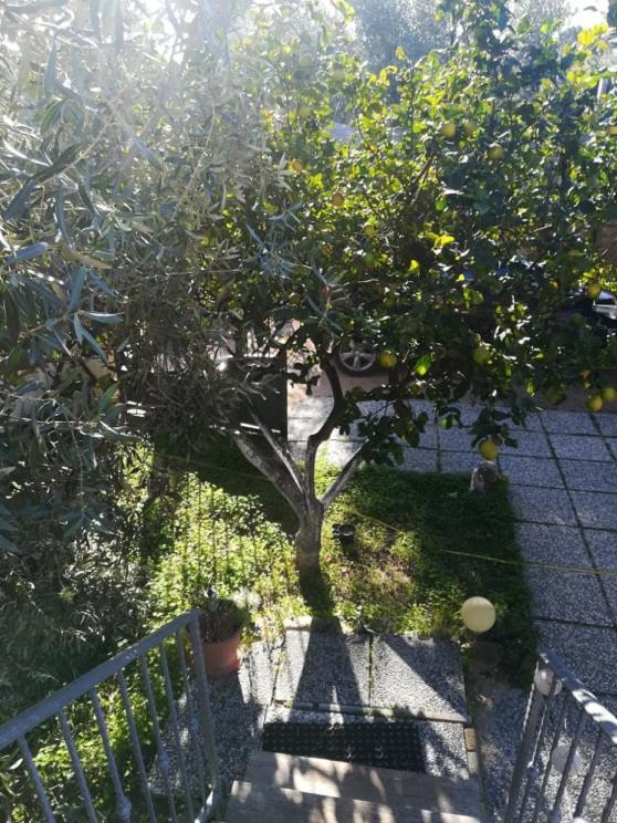 Apartamento Casa Cocco Sant Isidoro  Exterior foto