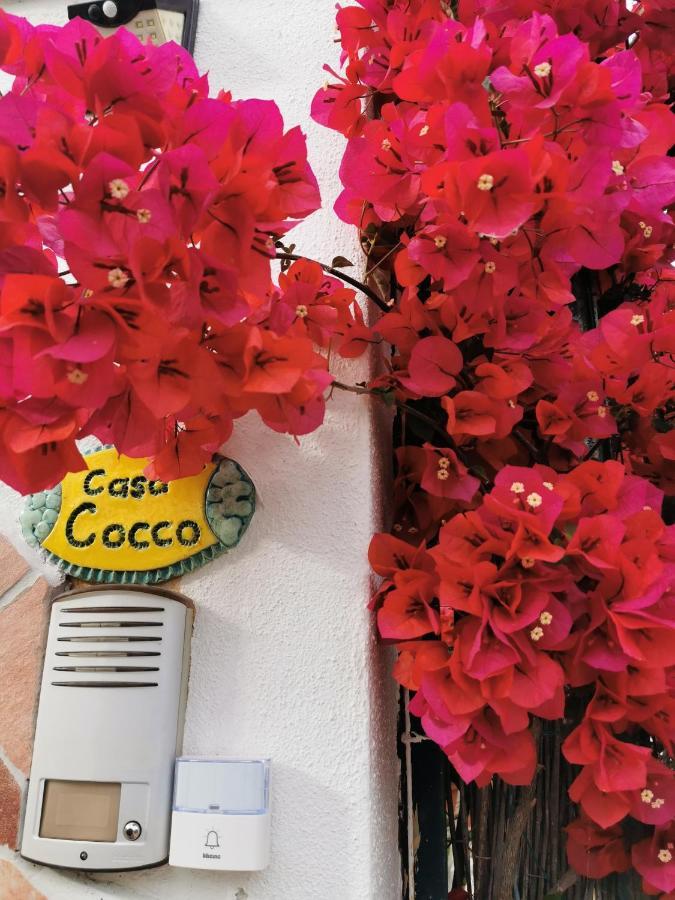 Apartamento Casa Cocco Sant Isidoro  Exterior foto